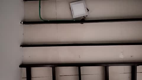 Sebastian online show from 3, 10, 2025