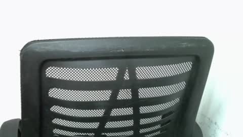 muscle_queen0 online show from 18, 2, 2026