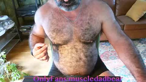 Snapshot of muscledadbear chatting on 24, 3, 2026 Jordan El Din online show from 24, 3, 2026