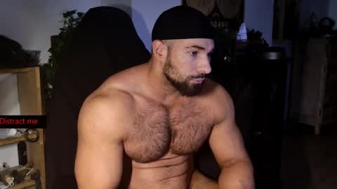 Musculus online show from 2, 12, 2025
