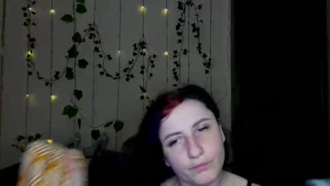 Jeneva online show from 9, 3, 2026