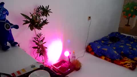 Muse Ali  online show from 31, 12, 2024