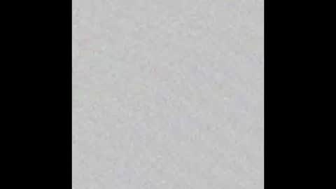 ghost mantis online show from 2, 3, 2025