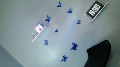 jasmine online show from 9, 11, 2025