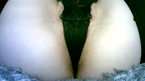 my_tightholes online show from 2, 2, 2026