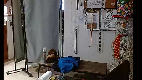 Snapshot of mycock4u247 chatting on 25, 12, 2024 LA MARIPOSA DE MARICOPA online show from 25, 12, 2024