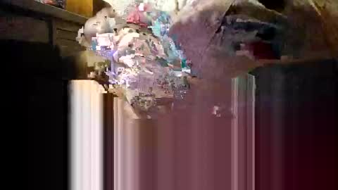 Snapshot of myhardlover chatting on 4, 12, 2025 Mmmm Feels Great online show from 4, 12, 2025