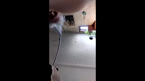 Mynutts online show from 16, 12, 2025