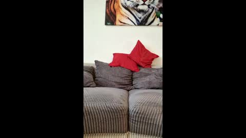 myrostus online show from 4, 3, 2026