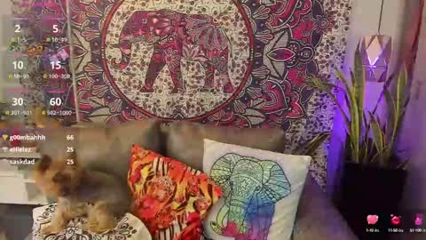 S A R A online show from 10, 2, 2025