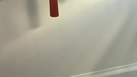 Sweet69 online show from 2, 4, 2026