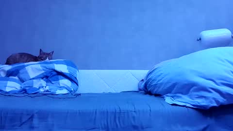 Snapshot of n3philim999 chatting on 12, 10, 2025 n3philim999 online show from 12, 10, 2025