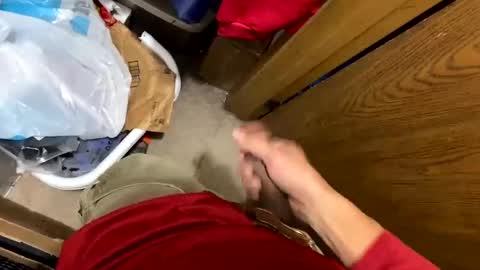 Snapshot of nairda2senoniuq chatting on 5, 12, 2024 nairda2senoniuq online show from 5, 12, 2024