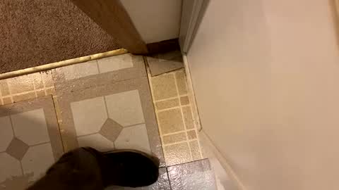 Snapshot of nairda2senoniuq chatting on 20, 12, 2024 nairda2senoniuq online show from 20, 12, 2024