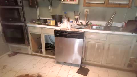 Snapshot of nakednate1780 chatting on 6, 12, 2024 nakednate1780 online show from 6, 12, 2024