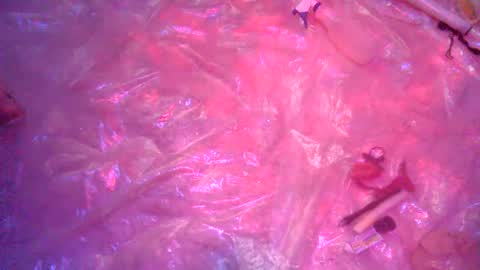 Snapshot of nakednate1780 chatting on 23, 12, 2024 nakednate1780 online show from 23, 12, 2024