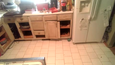 Snapshot of nakednate1780 chatting on 25, 12, 2024 nakednate1780 online show from 25, 12, 2024