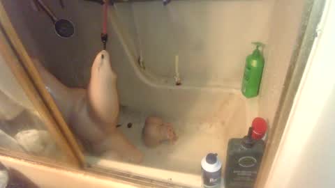 Snapshot of nakednate1780 chatting on 6, 2, 2025 nakednate1780 online show from 6, 2, 2025