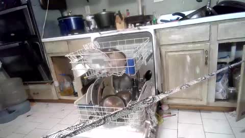 Snapshot of nakednate1780 chatting on 3, 3, 2025 nakednate1780 online show from 3, 3, 2025