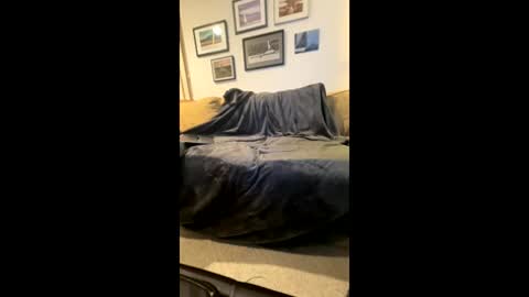 Masturbating boys need to be spanked. online show from 4, 2, 2026