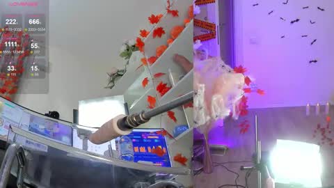 Snapshot of nancy_winter chatting on 6, 11, 2025 INSTAGRAM bekkercat online show from 6, 11, 2025