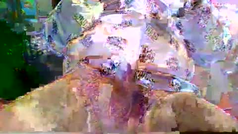 nano527 online show from 12, 2, 2026