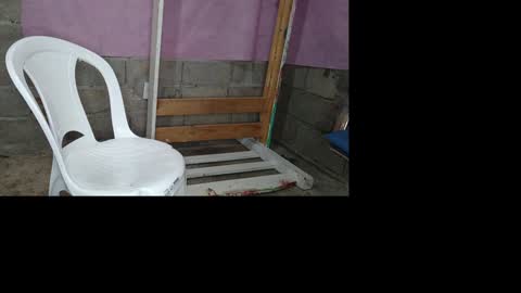 bellas2012 online show from 19, 1, 2025