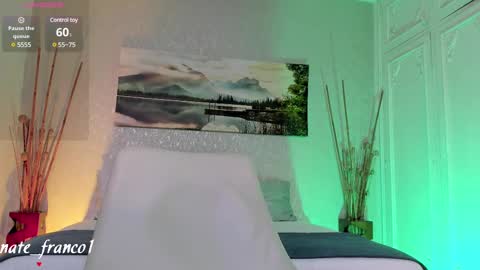 Snapshot of nate_franco chatting on 28, 2, 2025 Nate Franco online show from 28, 2, 2025