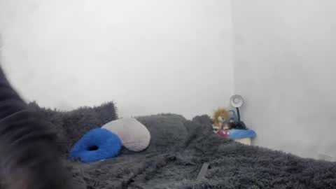 Nathaly online show from 15, 9, 2025