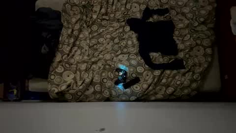 Snapshot of naughty6toy chatting on 17, 2, 2026 naughty6toy online show from 17, 2, 2026