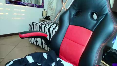 Kitten online show from 27, 2, 2026