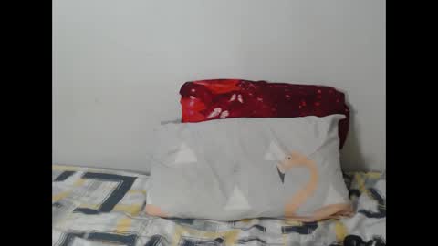 Snapshot of naughtyhornybitch chatting on 4, 11, 2025 naughtyhornybitch online show from 4, 11, 2025