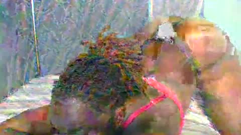 Snapshot of naughtyme4711 chatting on 11, 1, 2025 Naughty is my name online show from 11, 1, 2025
