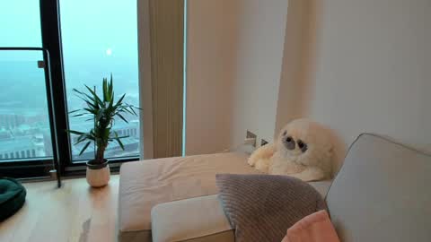 Gigi Chu  online show from 15, 2, 2025