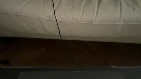 Snapshot of navigatingtothesky chatting on 18, 11, 2025 navigatingtothesky online show from 18, 11, 2025