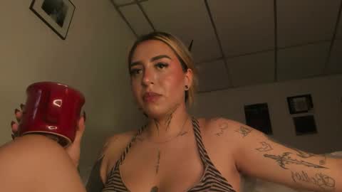 nazzz10 online show from 17, 5, 2026