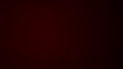 Dom online show from 3, 11, 2025