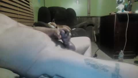 ned is naughty online show from 7, 3, 2025