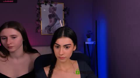 Meow online show from 15, 12, 2025