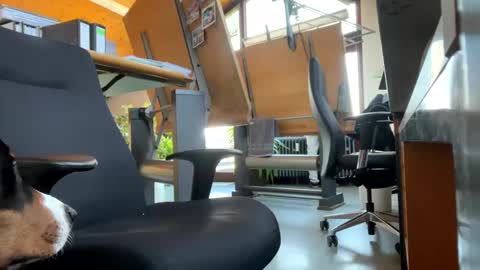 Snapshot of neneo21_ chatting on 13, 1, 2025 neneo21_ online show from 13, 1, 2025