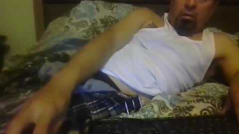 Nerfylil online show from 14, 4, 2026