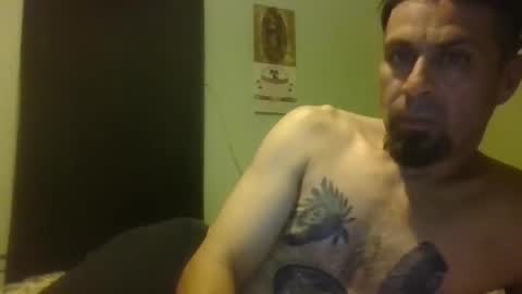 Nerfylil online show from 27, 4, 2026