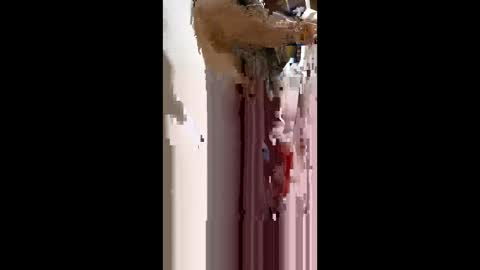 nermigarciaaguilar314 online show from 4, 6, 2026