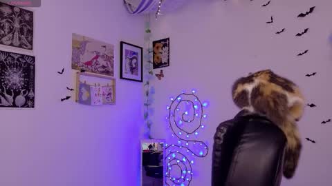 Mar online show from 3, 2, 2026