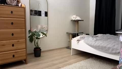 Snapshot of newproject_ chatting on 11, 11, 2025 Nova online show from 11, 11, 2025