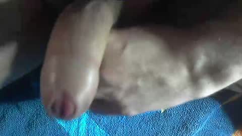 Snapshot of ni983 chatting on 19, 12, 2024 ni983 online show from 19, 12, 2024