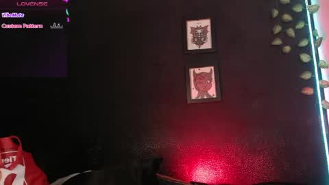 Snapshot of niakat_ chatting on 5, 6, 2026 niakat online show from 5, 6, 2026