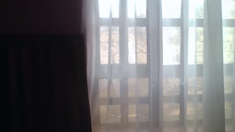 Lilly online show from 14, 11, 2025