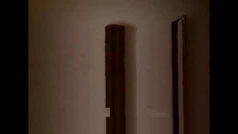 Snapshot of nicetomeetyou_1255007 chatting on 29, 10, 2025 nicetomeetyou_1255007 online show from 29, 10, 2025