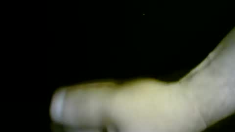 Snapshot of nicholaastavrou19 chatting on 1, 4, 2026 nicholaastavrou19 online show from 1, 4, 2026